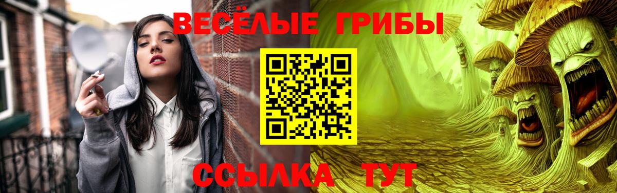 Псилоцибиновые грибы Psilocybe  Галлюциногенные грибы Magic Shrooms  Великие Луки  Вход с VPN 